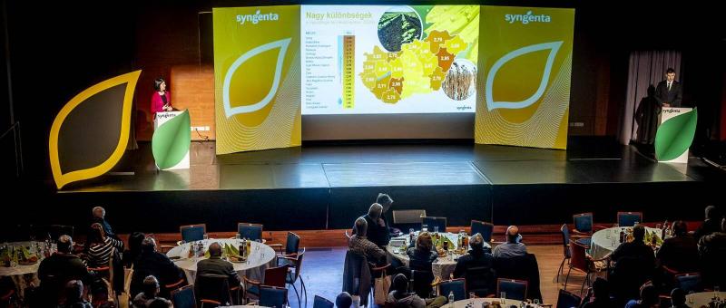 Syngenta: Kiváló hibridek és innovatív növényvédelmi megoldások a sikeres termesztésért.