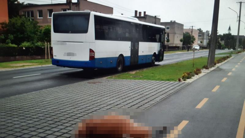Ilyen dolog valóban megtörténhet? Képzeld el, ahogy egy szarvas hirtelen beront a busz elé egy dunántúli város szívében, a legnagyobb forgalom közepette!
