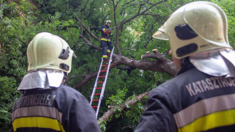 Az esős időjárás bőséges feladatokkal látta el a nógrádi tűzoltókat, akik fáradhatatlanul munkálkodtak a különféle kihívások kezelésén.