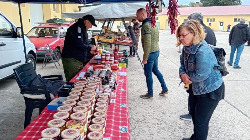 Fedezd fel a magyar méz világát és a méhészkedés szépségeit – lenyűgöző galériával!