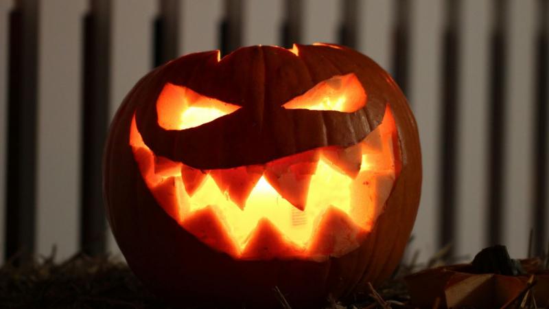 Halloweeni készülődésre fel! Fedezd fel velünk, hol találhatod meg a legjobb akciókat a tökfaragáshoz!