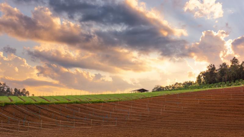 Itt az új, friss előrejelzés: a magyar földeknek most kifejezetten nagy szükségük van erre – Agro Napló.