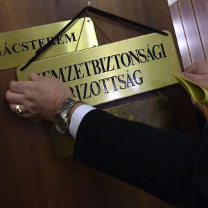 Előállítottak egy ukrán kémet, aki politikai kapcsolatokkal is rendelkezett.
