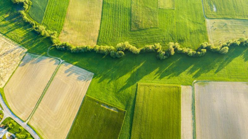 Fundamentális változások várhatók az agrártámogatások rendszerében, aminek következtében az érintettek máris hangot adtak ellenérzéseiknek - Agrárszektor.