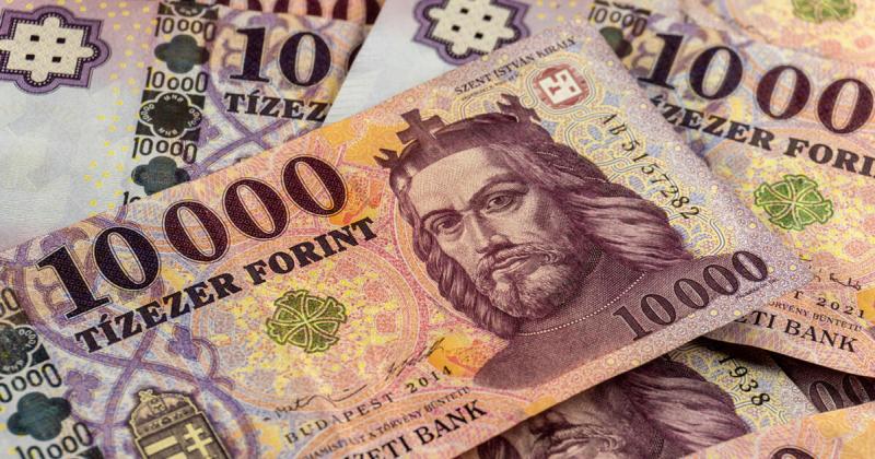 Kis izomláz gyötri, de a forint most legszebb arcát villantja meg.